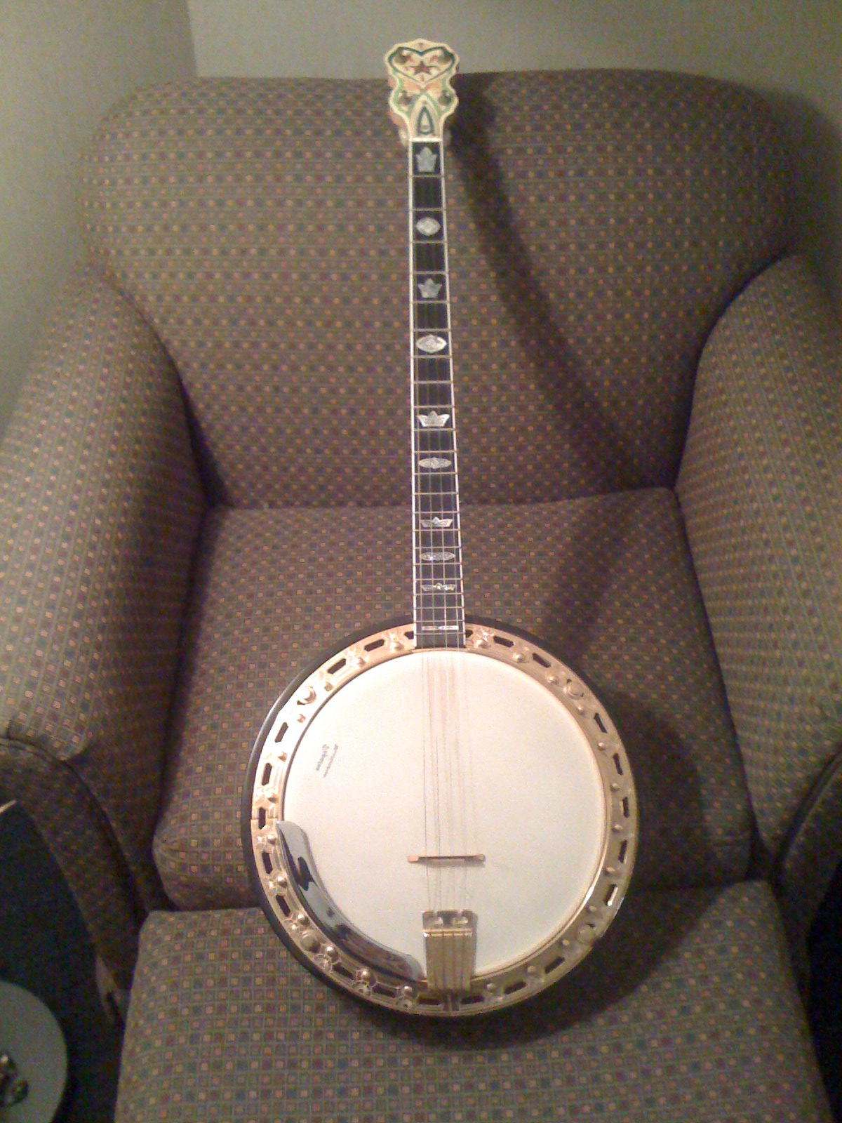 Martin Vega Banjo Serial Numbers